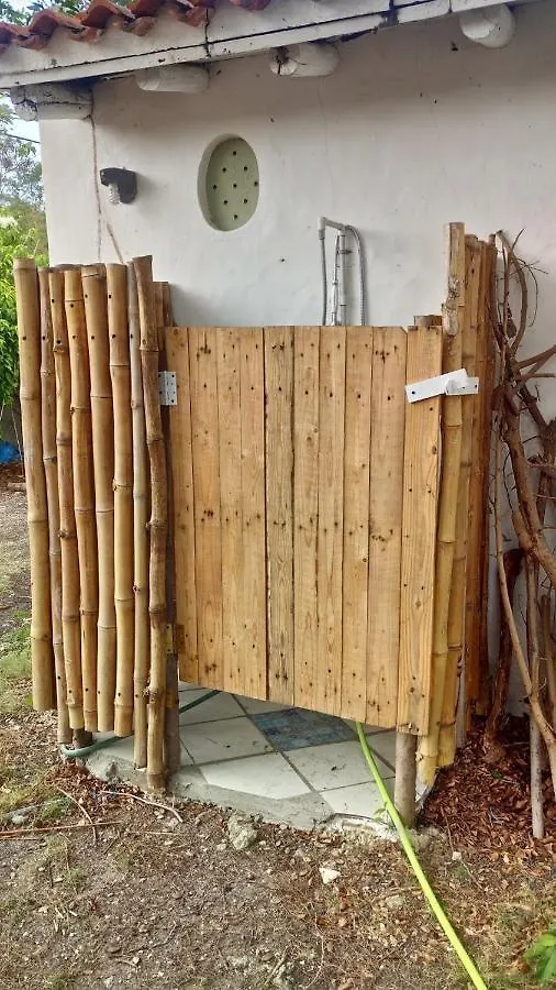 דירה קרייסט צ'רץ' Shambhala Homestays
