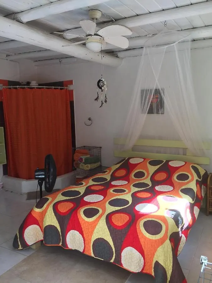 Shambhala Homestays Christ Church