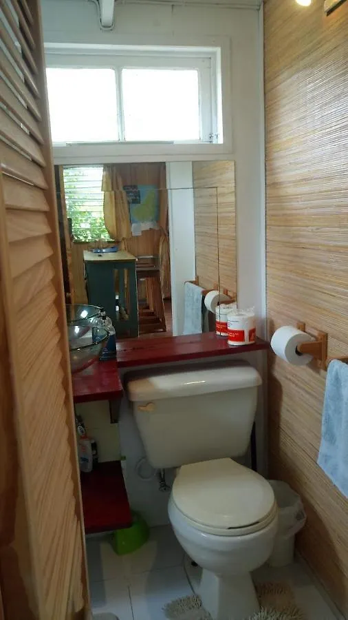 Shambhala Homestays Christ Church 0*,