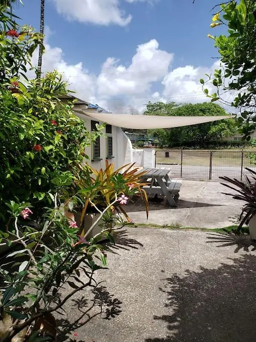Apartman Shambhala Homestays Christ Church