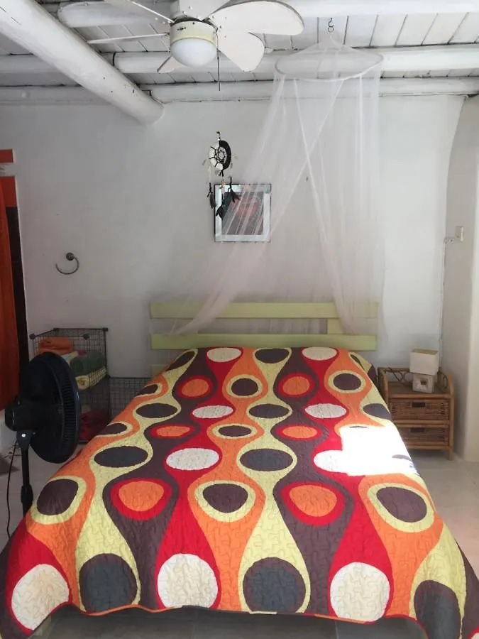 Shambhala Homestays Christ Church Apartman