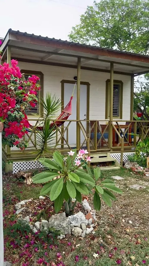 Shambhala Homestays Christ Church 0*,  Barbados