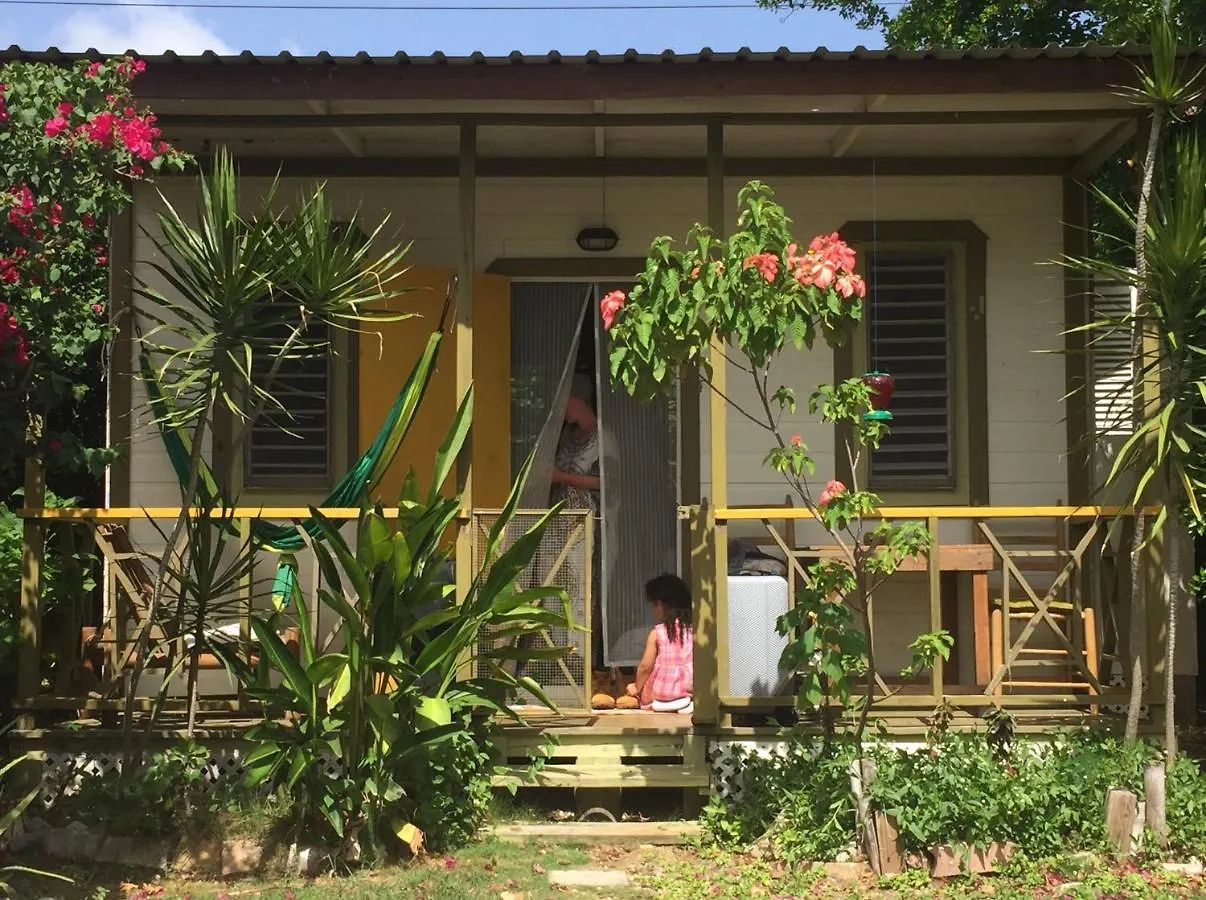Apartman Shambhala Homestays Christ Church