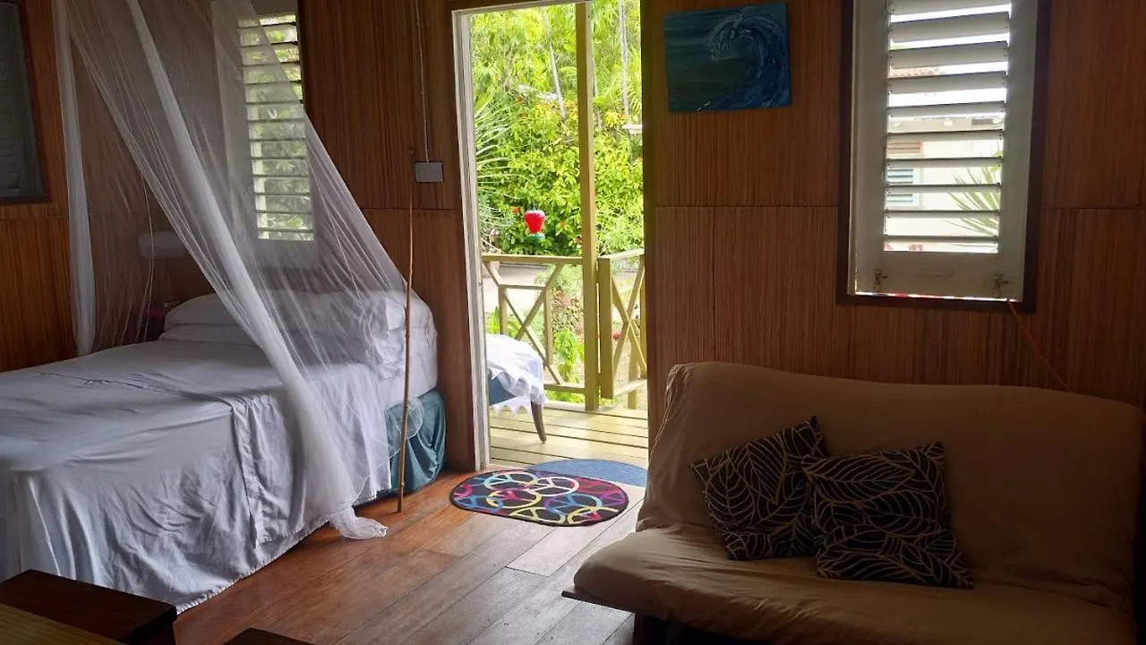 Shambhala Homestays Christ Church