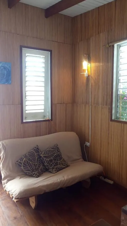 Shambhala Homestays Christ Church Apartman